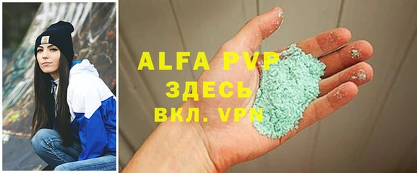 ПСИЛОЦИБИНОВЫЕ ГРИБЫ Осинники