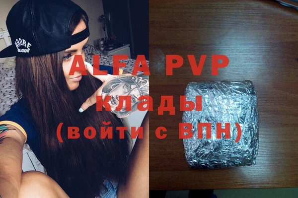 ПСИЛОЦИБИНОВЫЕ ГРИБЫ Осинники
