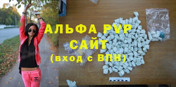 ПСИЛОЦИБИНОВЫЕ ГРИБЫ Осинники
